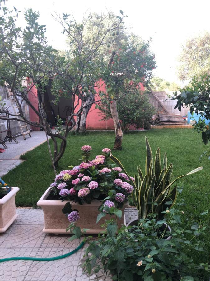 Paese Museo Apartment San Sperate ภายนอก รูปภาพ